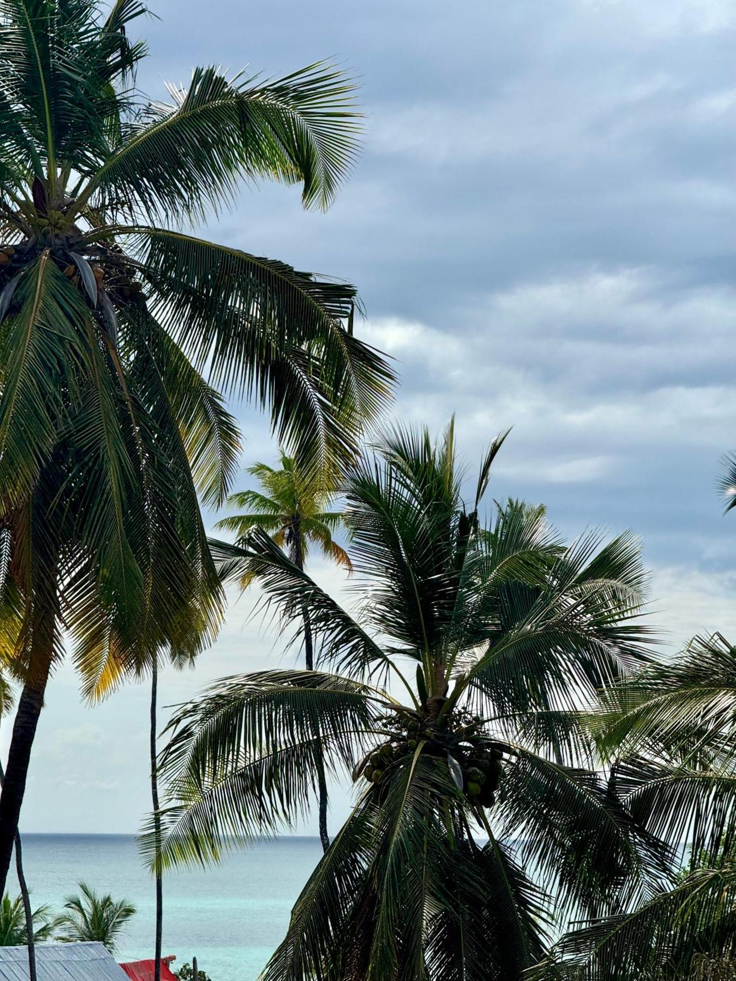 Rafiki Hotel Nungwi Beach Dış mekan fotoğraf